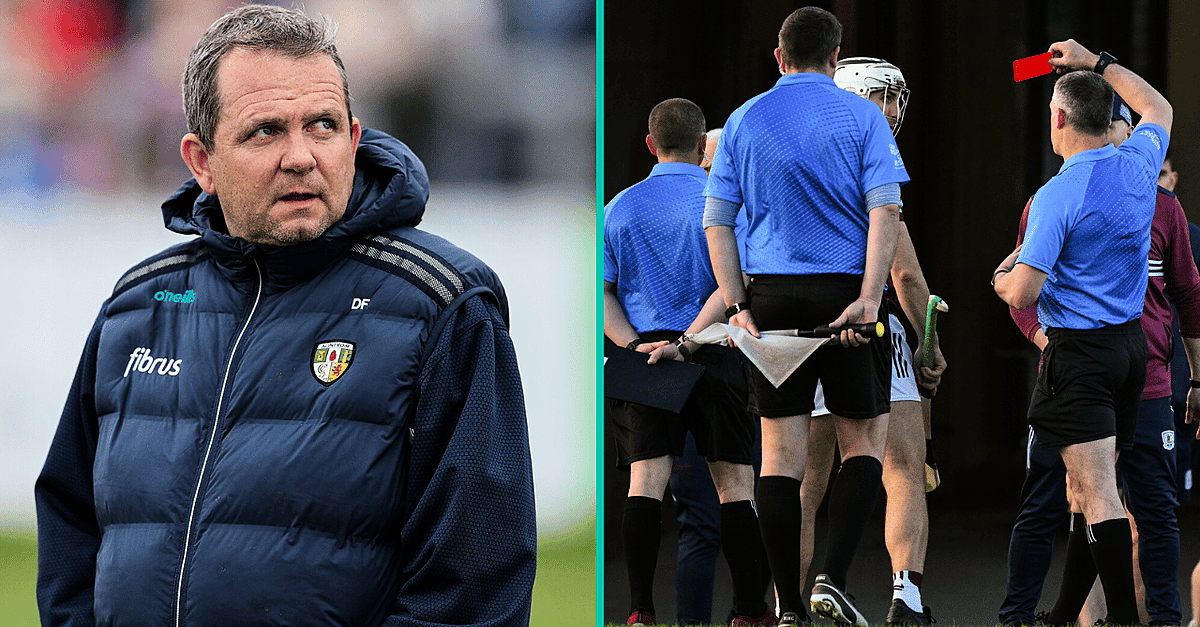 Davy Fitzgerald chiede alla GAA di apportare modifiche radicali alle regole a bordo campo e arbitrali