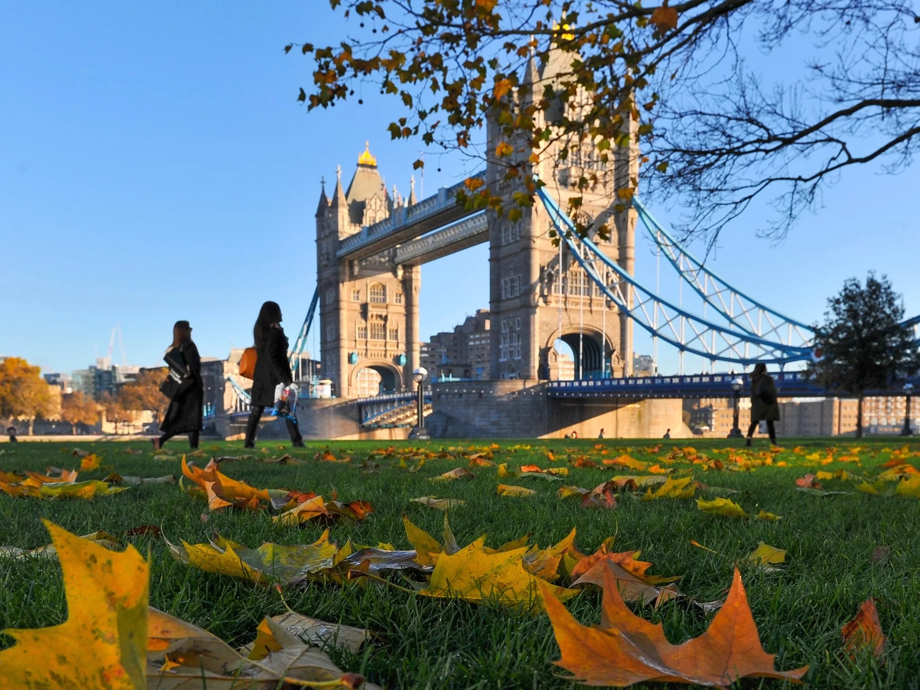 Not just Paris and London. These cities dominate an unusual ranking.