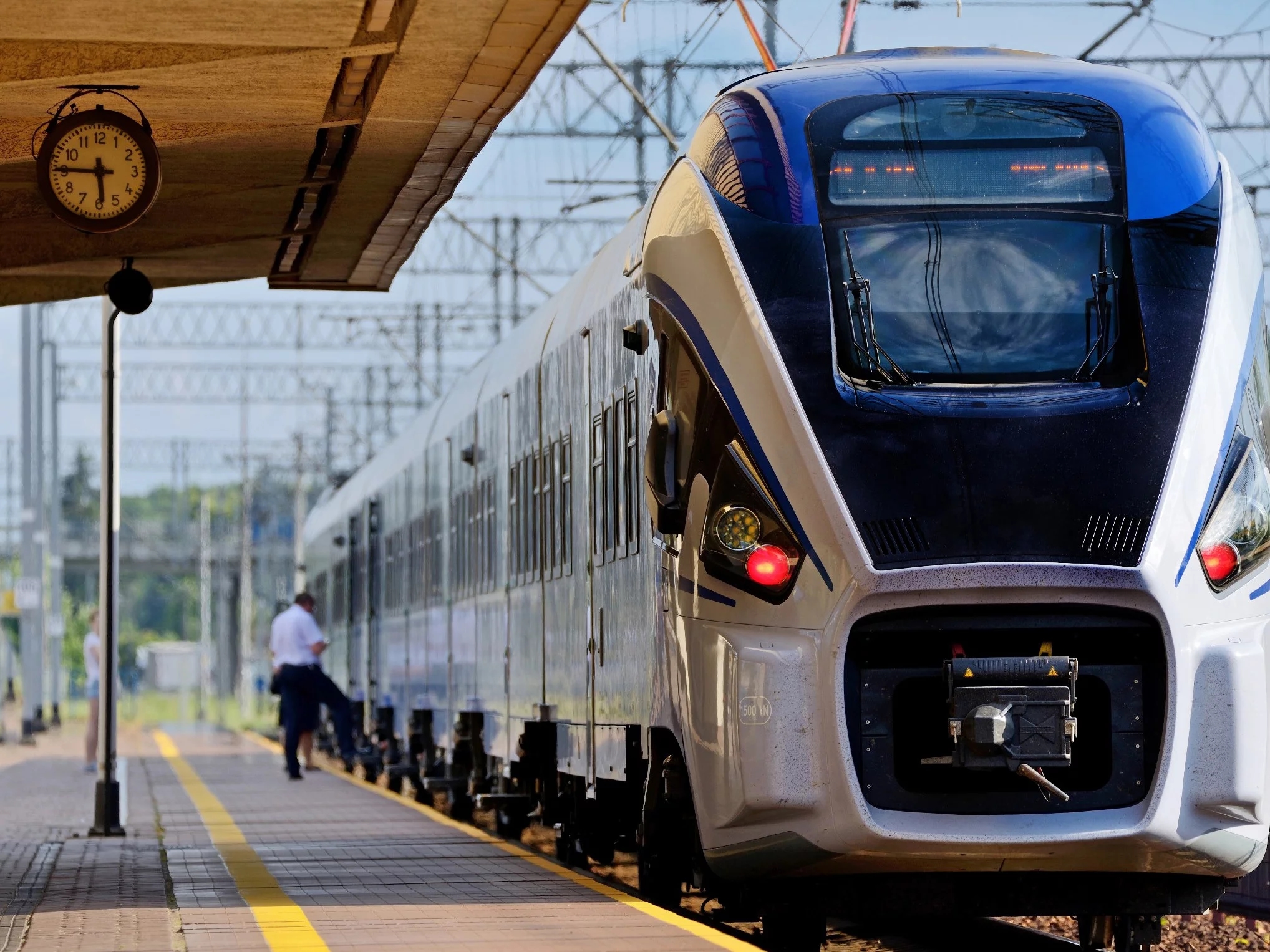 A train from Wrocław collided with a moose. Urgent announcement from PKP