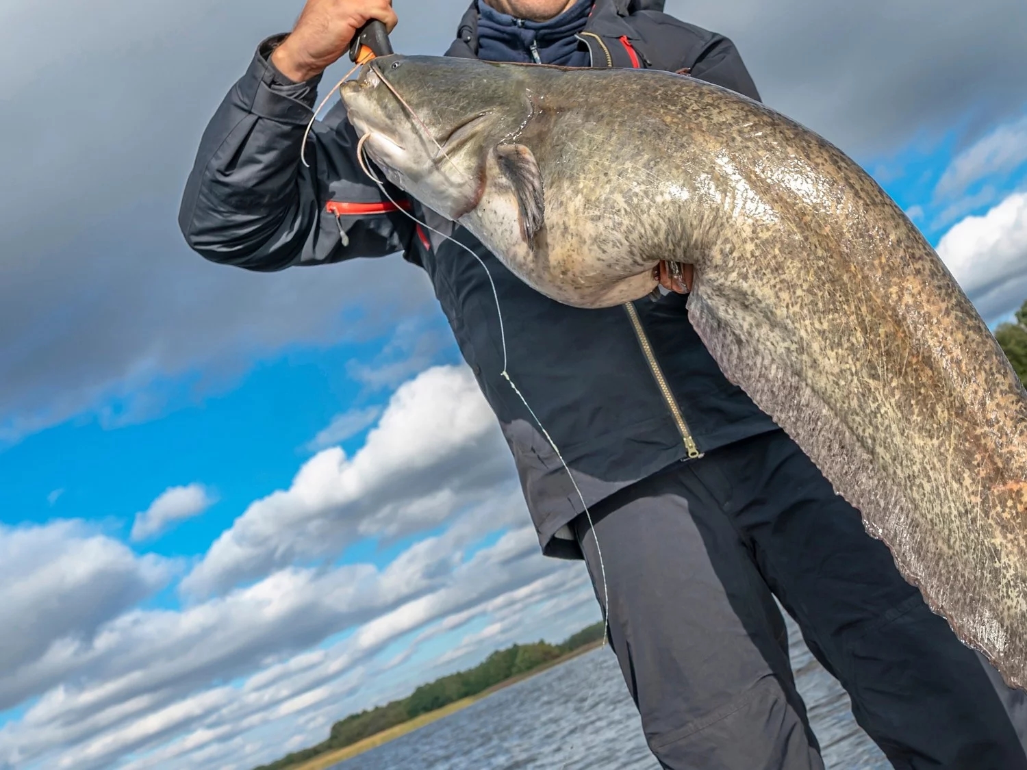 Polish anglers hold a world record! They reveal the secrets behind catching a giant catfish.