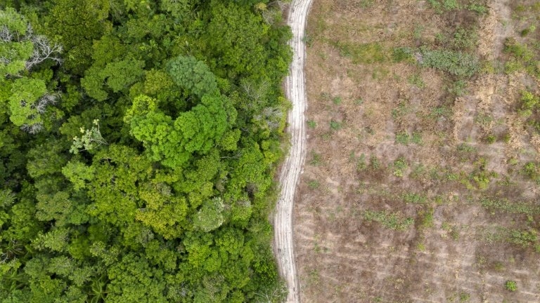 The Legal Amazon region recorded the lowest deforested area since 2014.