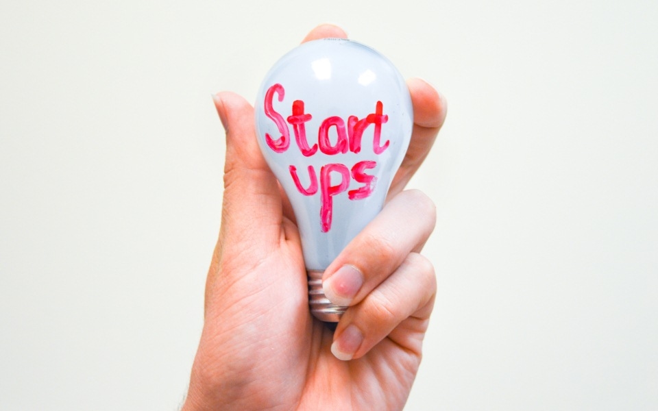 Es wird erwartet, dass die Risikokapitalinvestitionen in Startups im Jahr 2024 um 26 % steigen werden.