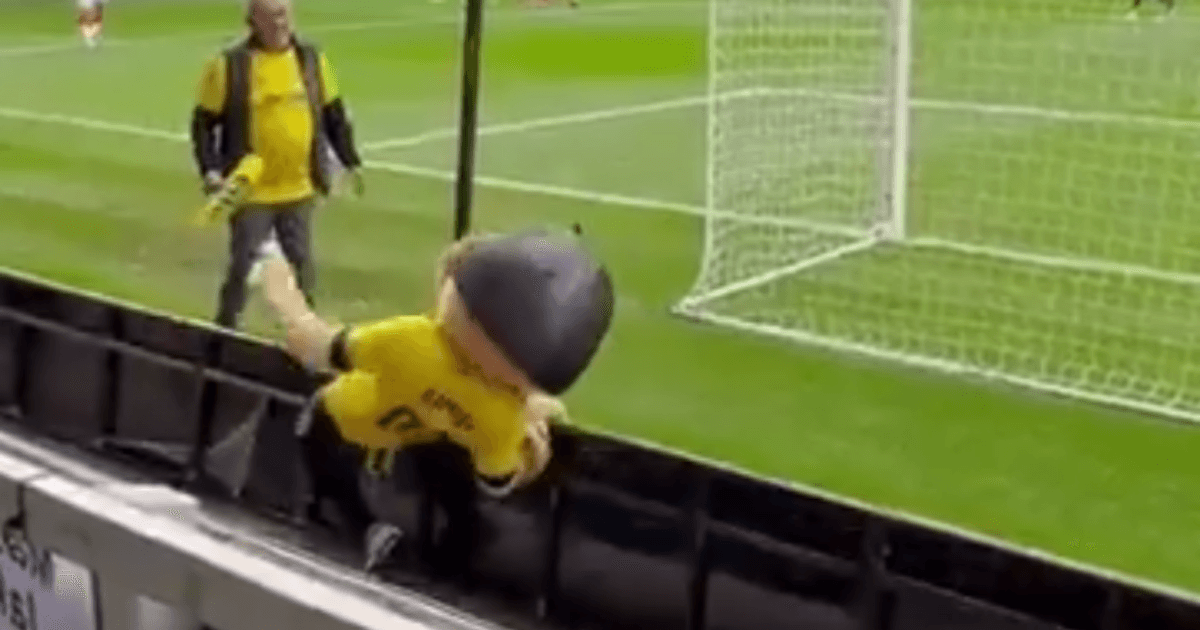 Mascote de clube inglês é retirado de campo por aparente embriaguez