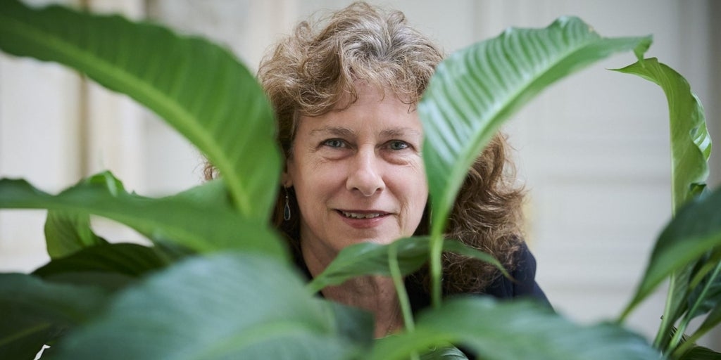 Camille Parmesan: "The main reason species go extinct is habitat loss, not climate change."