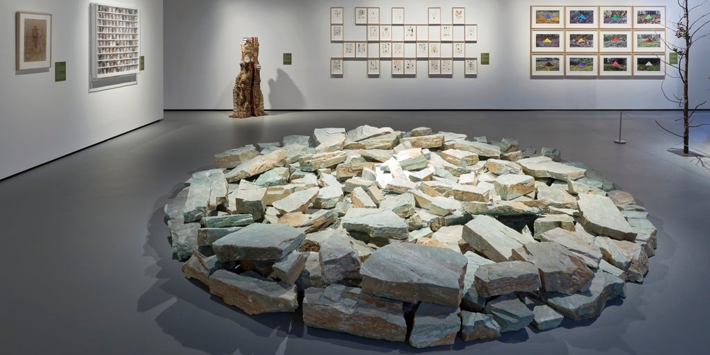 O percurso natural da Fundação Masaveu em direção a Morasverdes