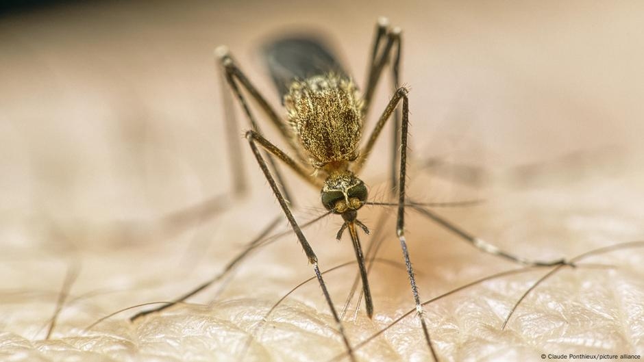 İklim değişikliği sağlığa nasıl zarar veriyor ve ne işe yarıyor?