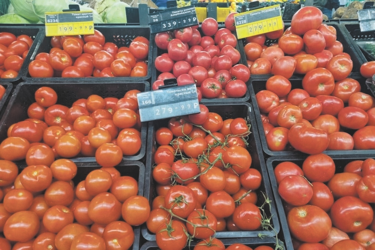 Tomato Test: Expert Reveals Pitfalls of Super-Expensive Tomatoes