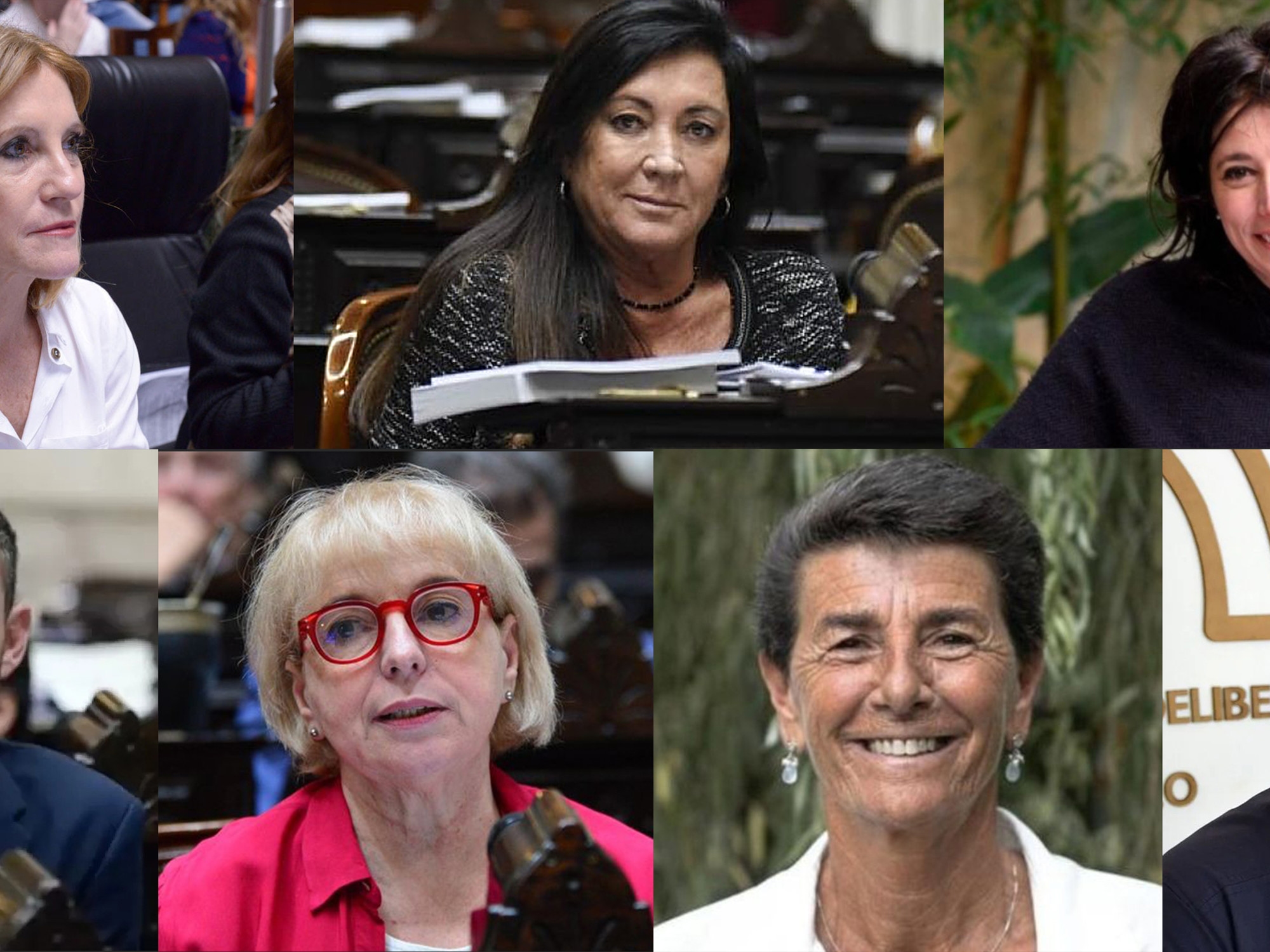 Wie zijn de zeven afgevaardigden die één voor één breken met PRO en zich aansluiten bij La Libertad Avanza?