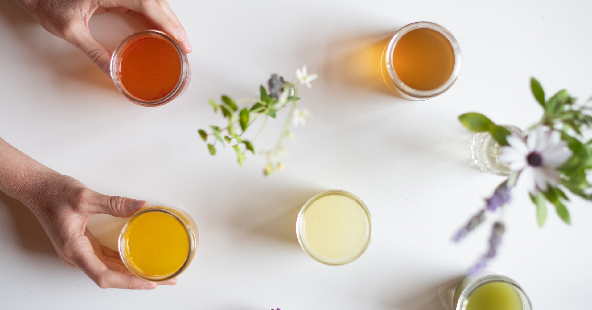 Las 8 mejores hierbas adaptogénicas para reducir el estrés, restaurar los niveles de energía y lograr una salud y un bienestar óptimos.