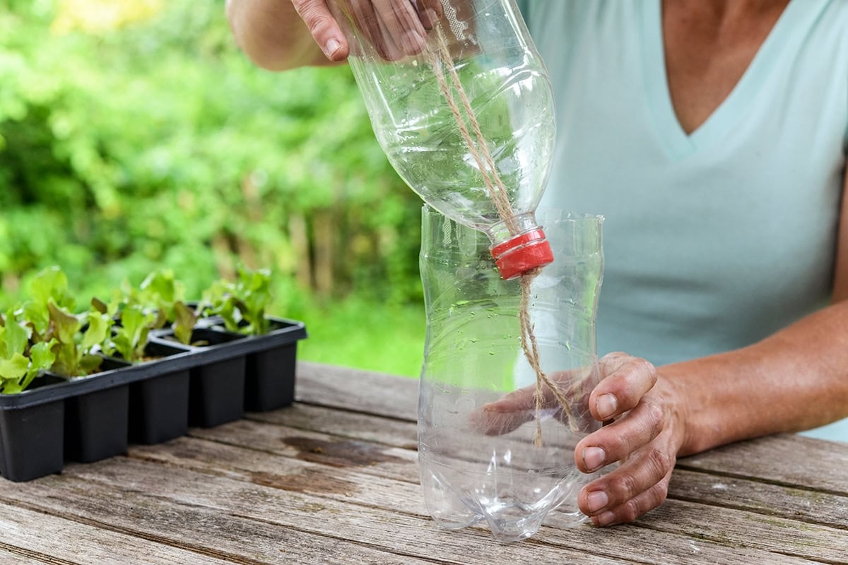 Questi 3 trucchi per il giardinaggio non costano nulla ma danno un sacco di frutti