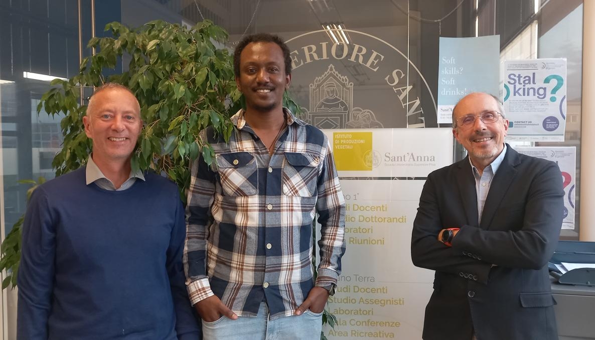 Инновации, алгоритмы и спутники — союзники в деле обеспечения продовольственной безопасности в Средиземноморье.