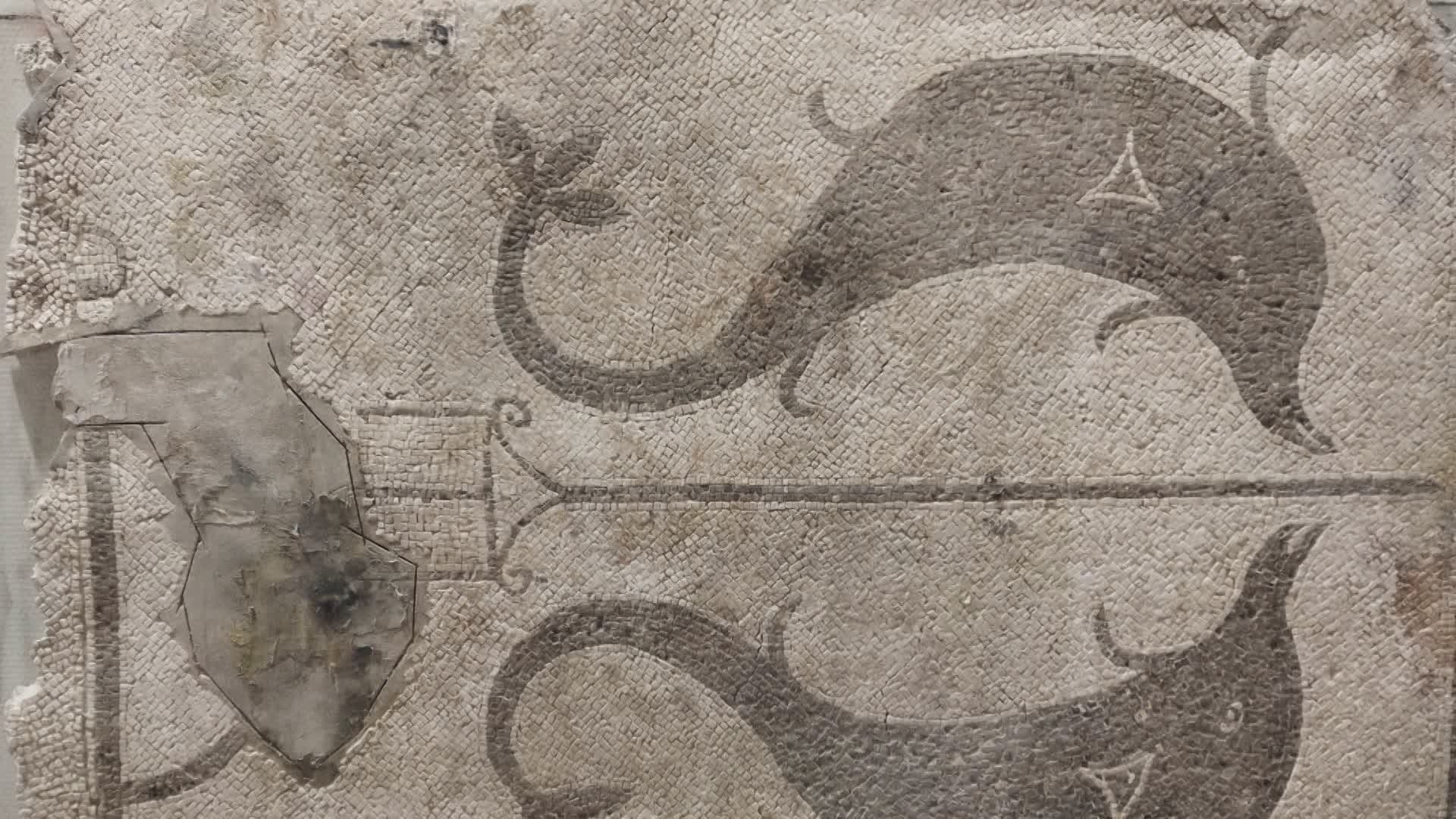 Il “Mosaico con delfini” di Aquileia restaurato per la mostra “Restituzioni”