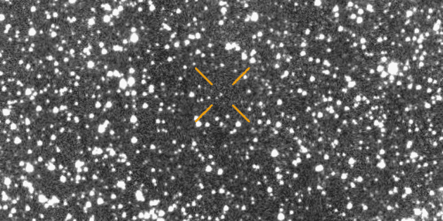 NASA bestätigt, ob der Komet 31/ATLAS das Leben auf der Erde bedroht oder nicht