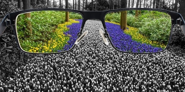 What are the tests to detect color blindness?