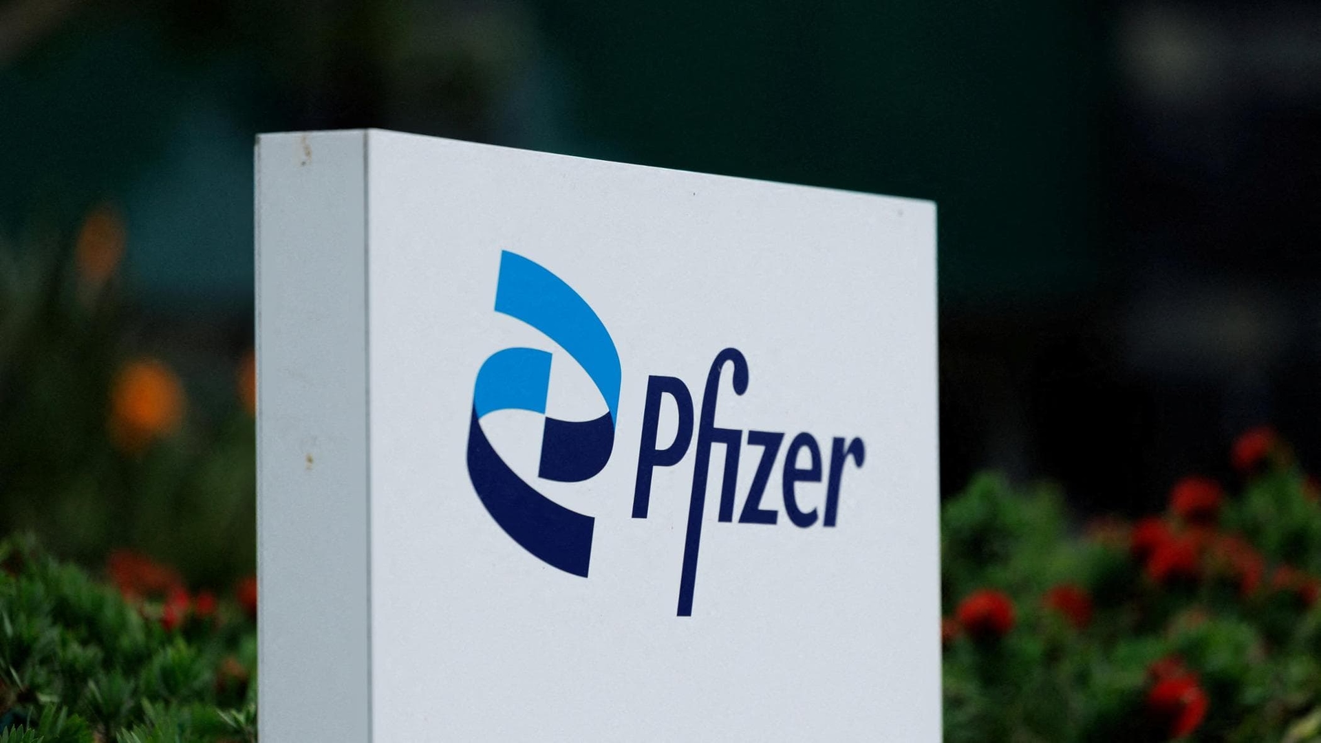 Pfizer подала в суд на Novo Nordisk из-за приобретения Metsera. «Встречное предложение нарушает соглашение».